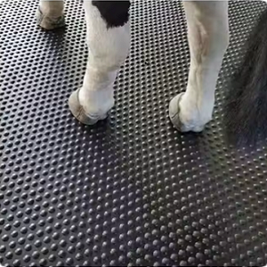橡胶牛罩垫